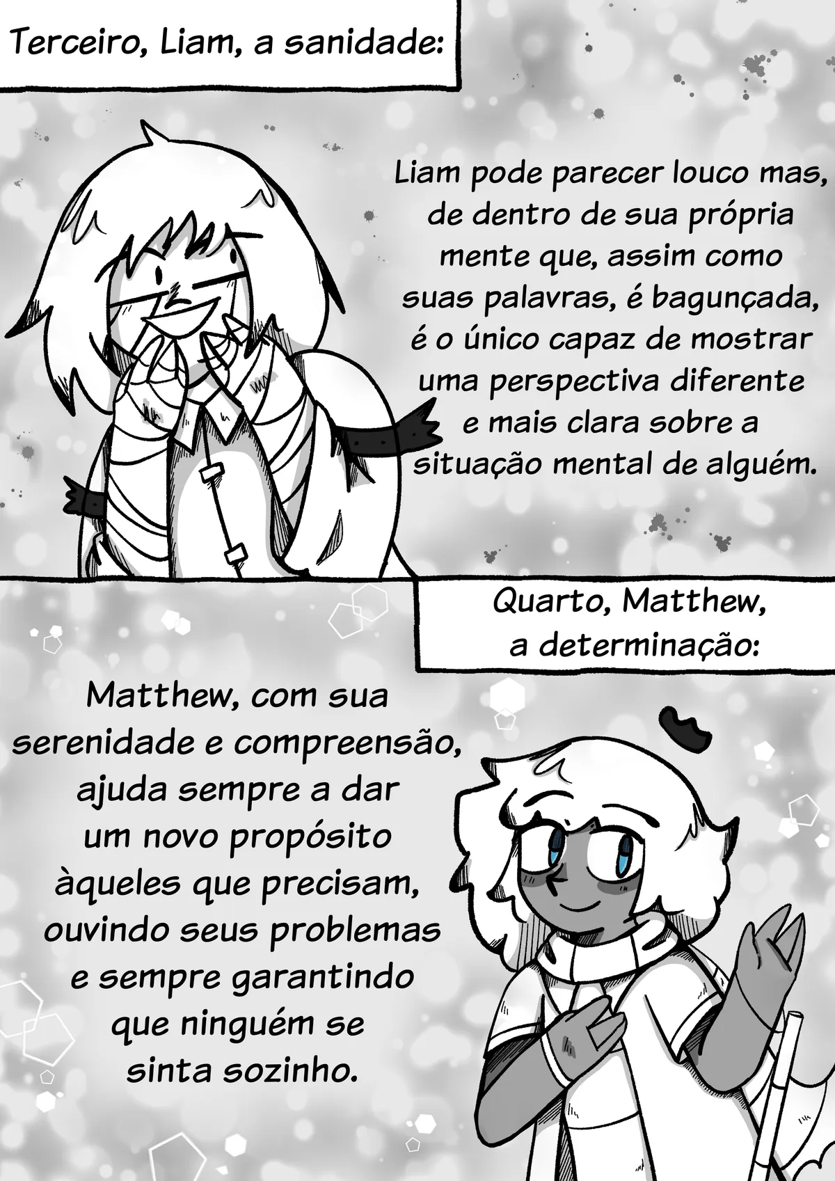 Página 13
